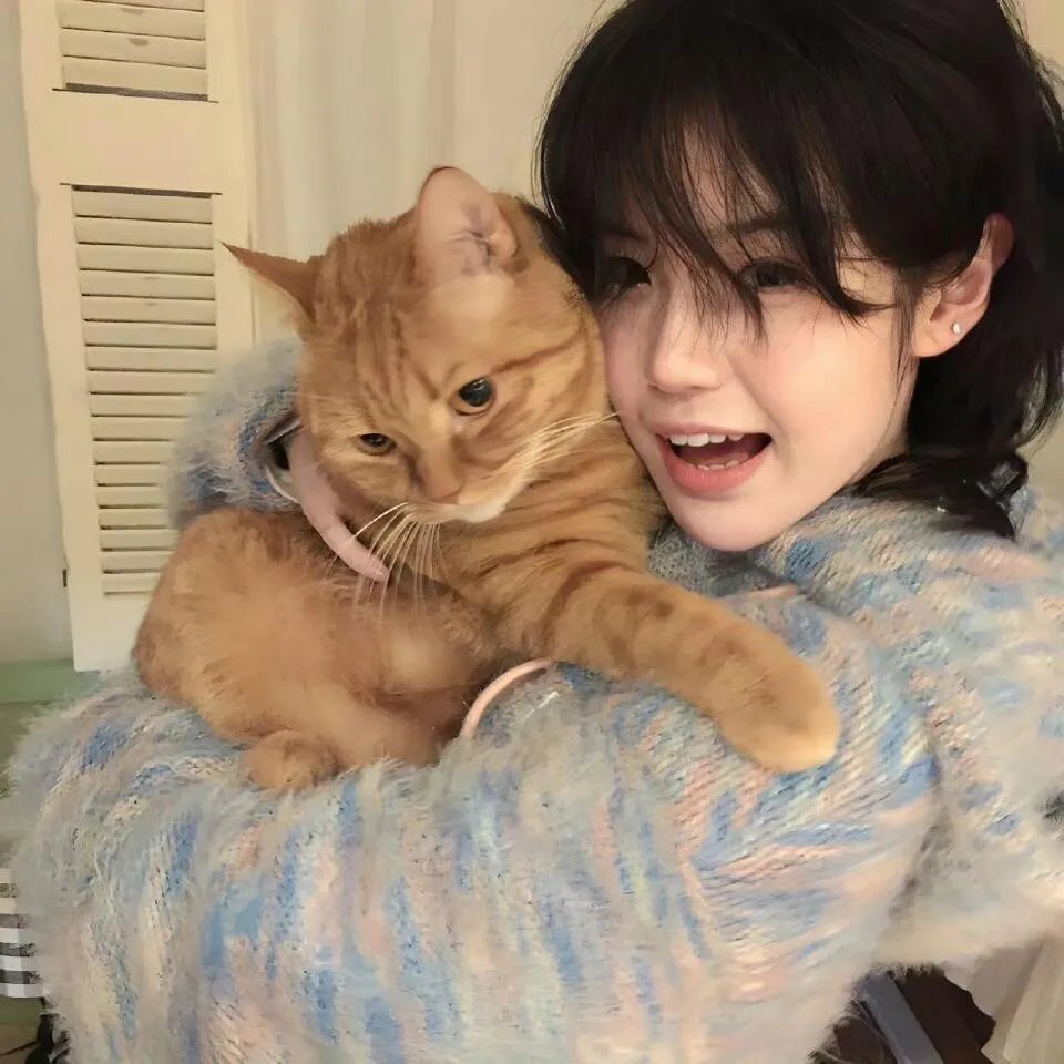 大象与小蝶物语